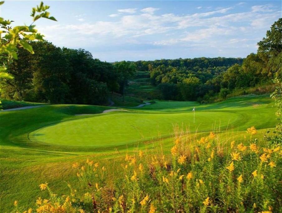 Peaceful 2-Bedroom Townhome Retreat W/Wooded View Galena Eksteriør bilde
